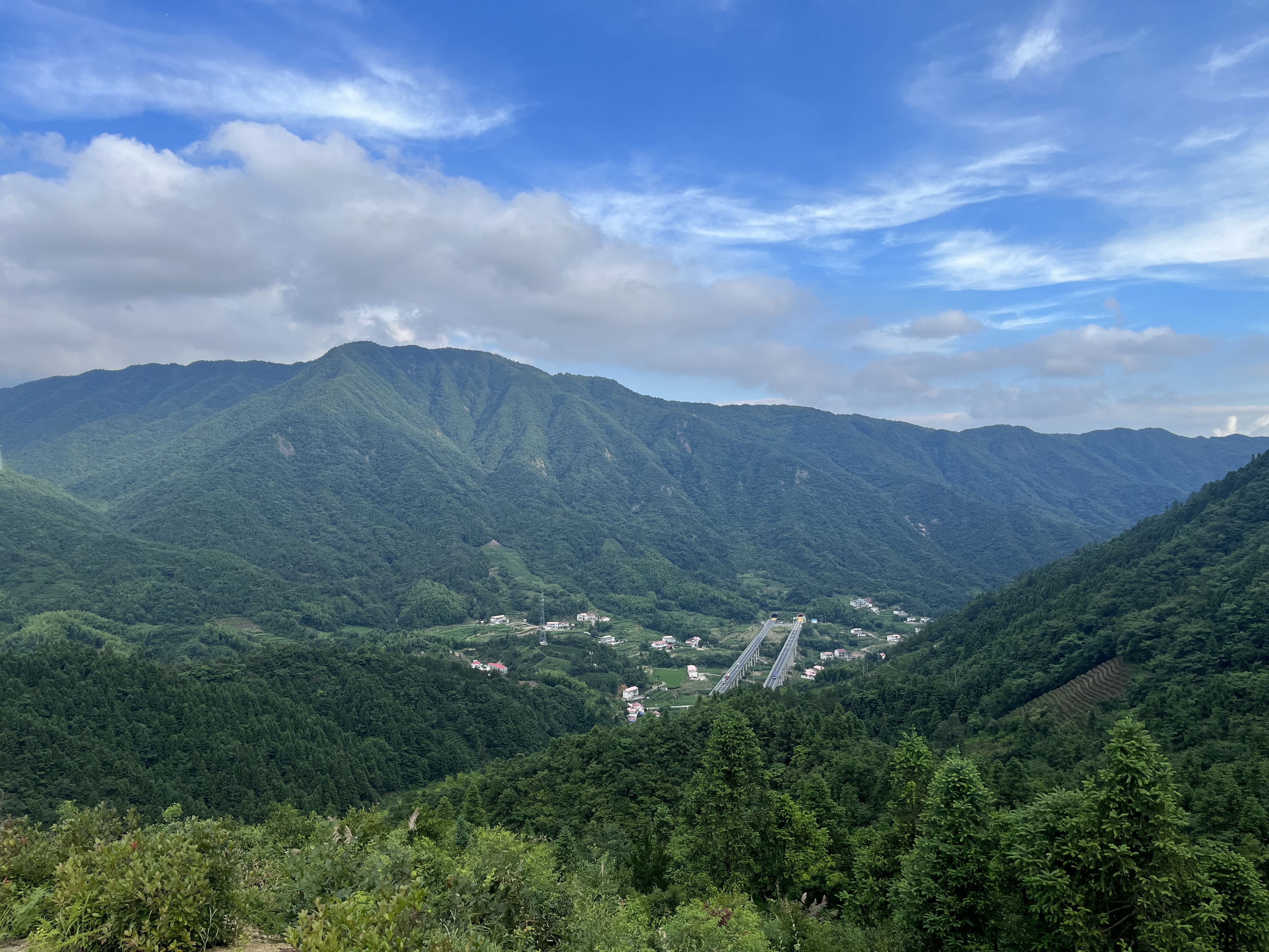 十月稻田 寒地之最 东北长粒香大米 8斤*4/箱装（品质甄选 16kg/32斤） 实拍图