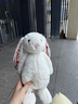 Jellycat甜美小鸭可爱公仔动物毛绒玩偶小玩偶陪伴娃娃送礼七夕情人节礼物 甜美小鸭 One Size 实拍图