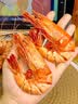 水一方九节虾干特大即食烤虾干高蛋白冷冻储存海味零食即食大连特产 实拍图