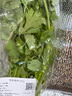 带根香菜100g 实拍图