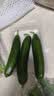 【水果菜】荷兰水果黄瓜约400g 实拍图