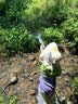 左西男童防蚊裤儿童裤子夏季2026新款薄款凉感速干运动裤 灰色 120 实拍图