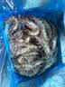 鲜京采 鲜冻大号黑虎虾 去冰净重2斤 31-40只/盒 斑节对虾美食大赛同款 实拍图