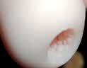 对子哈特飞机杯便携自慰蛋日本倒模男用自慰器成人性情趣用品爱笑妹妹 实拍图