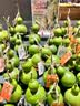 京东京造原味新疆烤核桃1kg 烤核桃熟核桃坚果薄皮核桃休闲零食京东自营 实拍图
