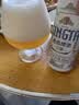 青岛啤酒（TsingTao）精酿白啤 全麦酿造 500ml*12罐整箱装 晒单实拍图