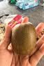 佳沛（zespri）新西兰  阳光金奇异果6粒装 单果约88-103g 猕猴桃水果 实拍图