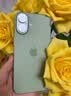 Apple/苹果 iPhone 17 256GB 鼠尾草绿色 支持移动联通电信5G 双卡双待手机 实拍图