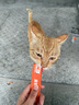 皇家猫粮 室内成猫粮 I27 通用粮 12月以上 2KG 实拍图
