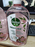 滴露（Dettol）香氛自然衣物消毒液48H留香洗衣除臭儿童可用消毒水杀菌除螨1L*2 实拍图