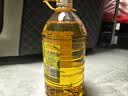 金龙鱼 食用油 非转基因 物理压榨不油腻轻年玉米油4L 实拍图