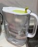 碧然德【李昀锐同款】（BRITA）免安装过滤净水 滤水壶设计师系列 设计师壶Style绿 3.5L 1壶3芯 多效版【入门尝鲜款】 实拍图