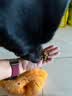 凡可奇狗粮小型犬通用全价狗粮 【真鲜乳鸽】2kg*2 实拍图