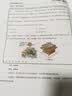 佳能（Canon） TS308t彩色喷墨无线家用学生作业彩色喷墨可连手机蓝牙打印机 TS308t黑色（无线+远程+单打印+智能复印） 套餐二：主机+黑彩可加墨+墨水4瓶+大礼包【推荐】 实拍图