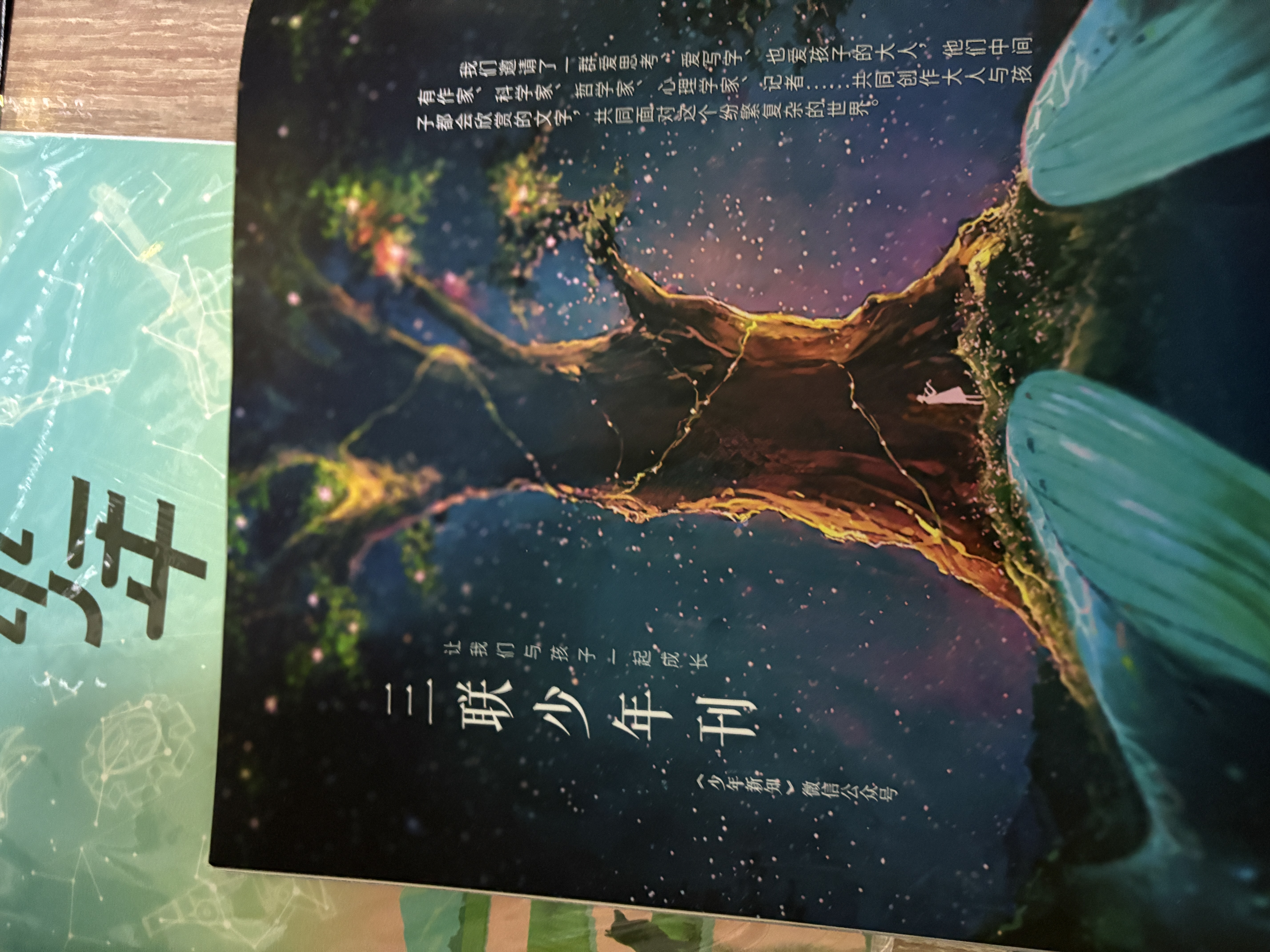少年新知杂志2026年1-9/10月新【2027全年/半年订阅/学科合集语文历史化学物理地理】三联生活周刊青少年版原创9-16岁中小学生人文思辨思维启蒙训练认知少儿阅读插画故事书非过刊K 现货【共2本 实拍图