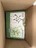 西湖绿茶龙井 冷泡茶包独立袋泡茶叶办公茶包伴手礼物3g*10包 实拍图