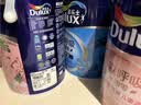 多乐士（Dulux）乳胶漆森呼吸淳零护敏护哮喘竹炭全效防霉抗菌儿童漆A8207白色5L 实拍图