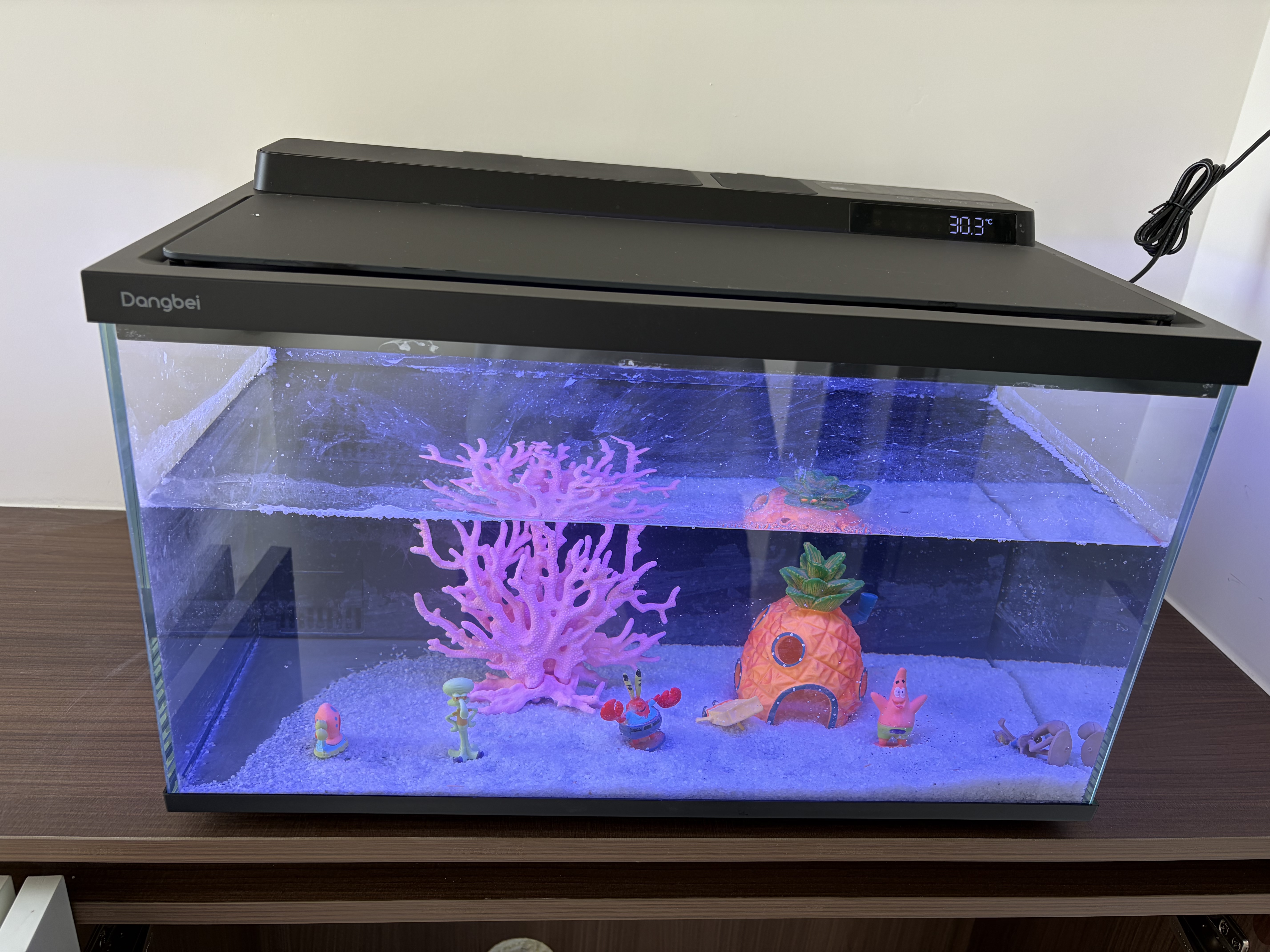 当贝智能鱼缸海绵宝宝造景套餐 实拍图