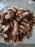 京东京造新疆核桃仁500g新货原味核桃仁罐装熟即食新鲜核桃肉孕妇每日坚果 实拍图