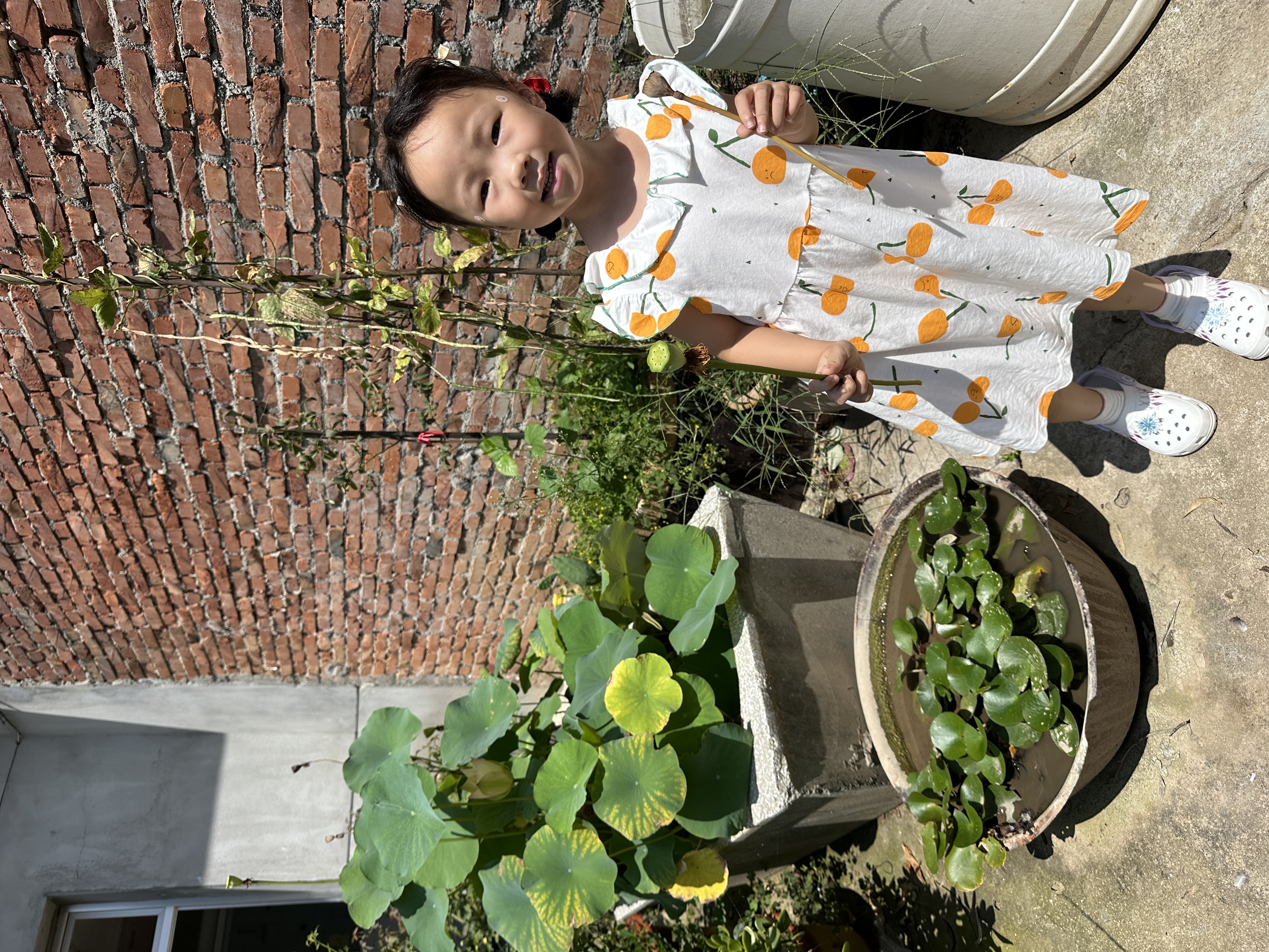 奇妙萌可闪耀流星萌可公仔女孩玩具玩偶可爱月光萌可公仔女孩生日礼物 实拍图