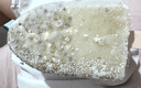 光明牌精品重绿豆棒冰96g*10支 薄荷清凉口感冰棍冷饮雪糕冰激凌家庭装 实拍图