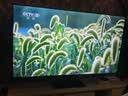 TCL电视 75T5M Plus 75英寸 QD-Mini LED控光 360Hz超高刷 QLED量子点 安桥音响 WiFi6 电视2026新款 实拍图