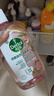 滴露（Dettol）香氛自然衣物消毒液48H留香洗衣除臭儿童可用消毒水杀菌除螨1L*2 实拍图