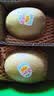 佳沛（zespri）新西兰阳光金奇异果 8个装 特大果单果重约124-146g 水果猕猴桃 实拍图
