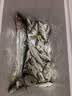 北溟鱼强悍二代矶竿滑漂竿路滑进口大导环远投矶钓竿超轻超硬矶钓竿 5.3m 7号 强悍二代+cl3000轮【礼包】 实拍图
