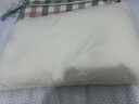 京东京造 檀香荞荞枕 大凉山舒适养生经典花草枕荞麦枕头枕型 单只装 实拍图