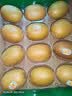 佳沛（zespri）新西兰 阳光金奇异果12粒特大果单果124-146g 猕猴桃水果礼盒 实拍图