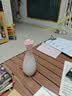 粉色家居陶瓷花瓶干花鲜花花器ins风软装搭配拍摄道具玄关摆件 多言中（粉上） 实拍图