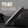 BoogieMAN【园园同款】ProReeds十孔口琴paddy布鲁斯成人儿童初学蓝调10孔 实拍图