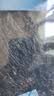 方家铺子头茬紫菜50g头水幼嫩紫菜特级免洗紫菜紫菜蛋花汤 实拍图