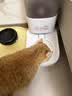 霍曼（Homerun）Real智能自动喂食器猫粮定时猫猫咪自动投食机PF20（不锈钢碗） 实拍图