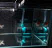 创宁水陆两用变频水泵静音过滤循环潜水泵CN9500-13W 10档流量调节 实拍图