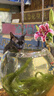 多特思猫罐头招财金饭碗68g猫主食罐头奶糕成幼猫全价湿粮餐盒猫饭 实拍图