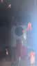 森悠（SARYOR）孔雀鱼纯种观赏鱼小型淡水好养热带鱼活体斑马金鱼凤尾鱼繁殖 杂袍孔雀鱼10条+5条备损 实拍图