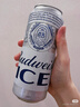 百威啤酒冰啤500ml*18听+淡色拉格450ml*3听组合装618组合 实拍图