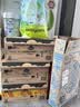 宝贝与我（Arla）白金版 有机A2蛋白 婴儿配方奶粉 1段 600g【0-6月】阿拉 阿尔乐 实拍图