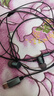 纽曼 (Newmine) XLT06 typec耳机线控音乐手机数字耳机type-c版入耳式有线耳机 锖色 实拍图