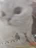 疯狂的主人猫砂盆垫超大号防带出双层EVA控砂垫防滑滤砂垫耐磨耐抓猫咪用品 实拍图