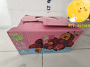 蒙牛真果粒牛奶饮品东魁杨梅味含乳饮料250g×12盒 卡皮巴拉定制装 实拍图