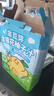 金豆芽金银花柚子汁儿童饮品夏天小孩果汁饮料送礼礼盒100ml*22袋 实拍图