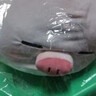 名创优品（MINISO）小猪B-BO弹力超柔趴姿公仔毛绒玩偶儿童玩具抱枕靠枕生日七夕礼物 实拍图