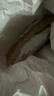皇家猫粮 英短成猫粮 BS34 通用粮 12月以上 10KG 实拍图