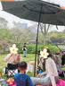 SIMAGO喜曼多钓鱼伞遮阳伞防雨防紫外线防晒防风万向钓伞 黑胶伞2.4米 实拍图