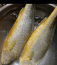 三都港 冷冻黄花鱼净重600g/2条装 宁德大黄鱼 海鱼 生鲜鱼类 海鲜水产 实拍图