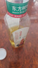 农夫山泉东方树叶乌龙茶500ml*15瓶无糖茶饮料0糖0脂0卡整箱装饮品 实拍图