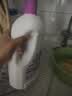 滴露（Dettol）衣物消毒液除菌松木3L 衣服消毒水99.9%杀菌除螨内衣裤配洗衣液 实拍图